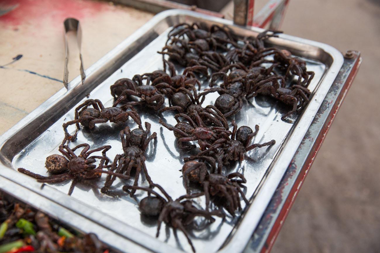 Fried Tarantulas Earth Trekkers
