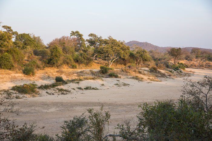 Timbavati River Kruger