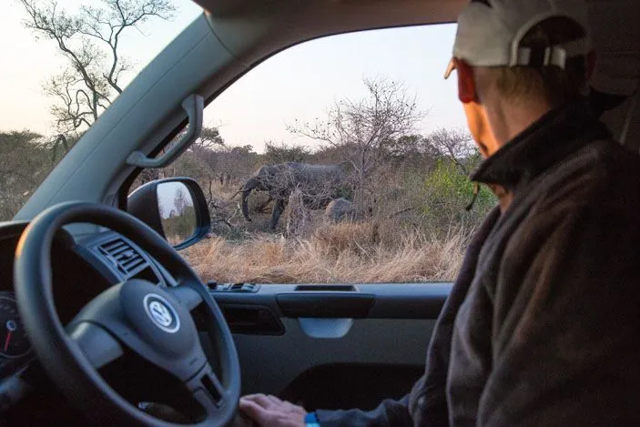 Tim's View in Kruger