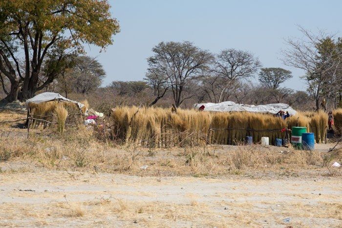 Grass Huts