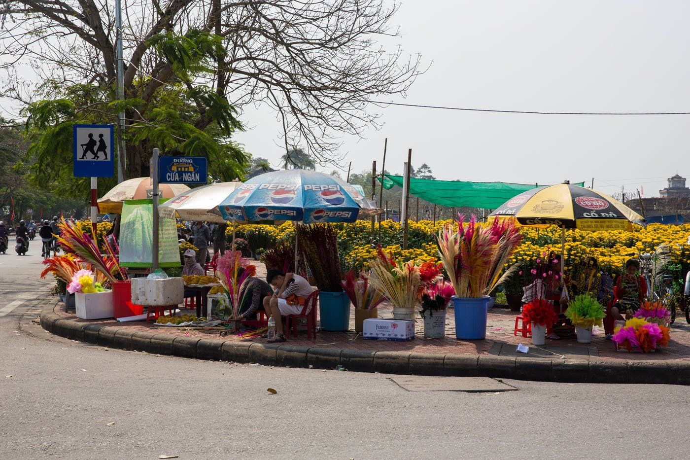 Shopping for Tet