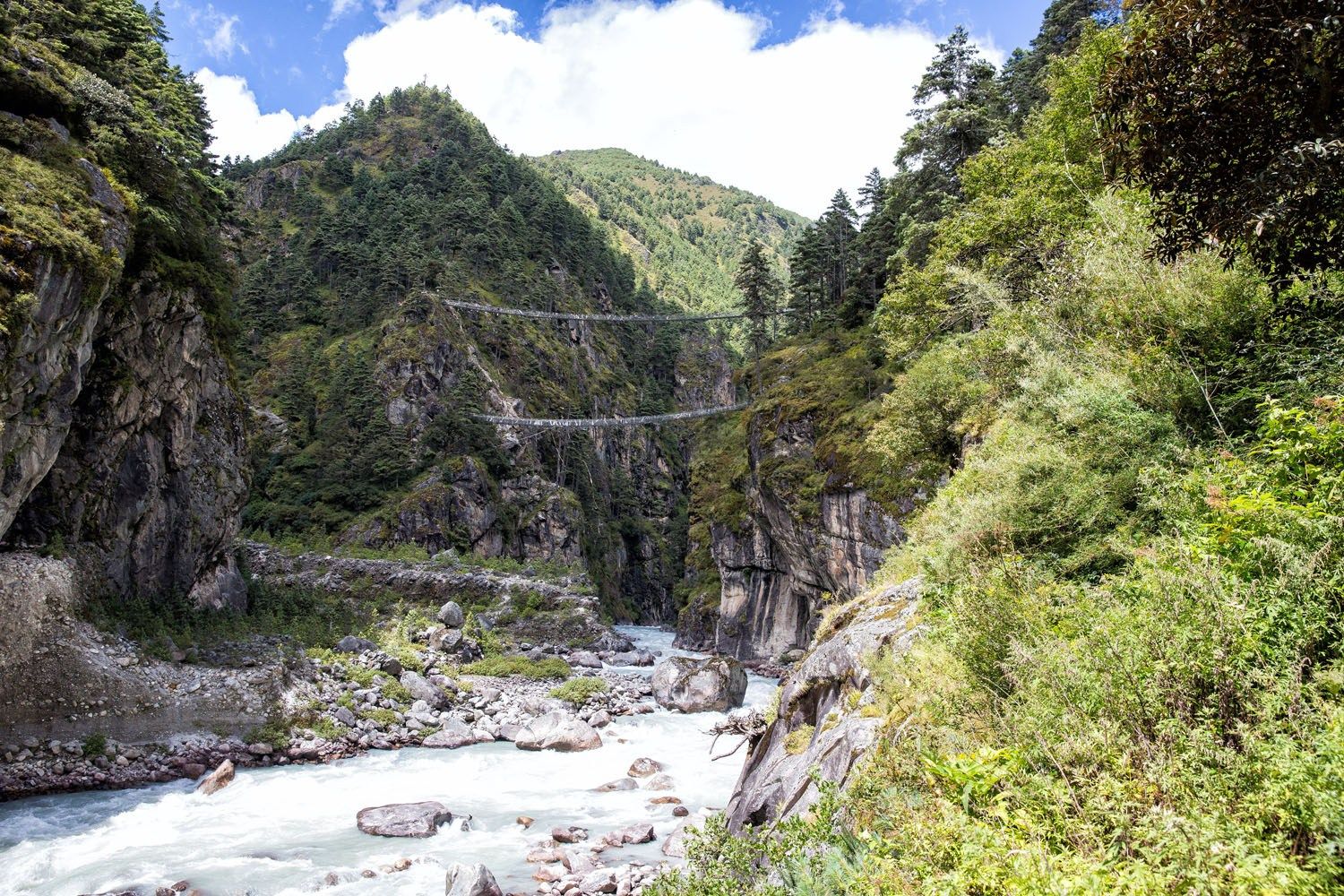 EBC Suspension Bridge