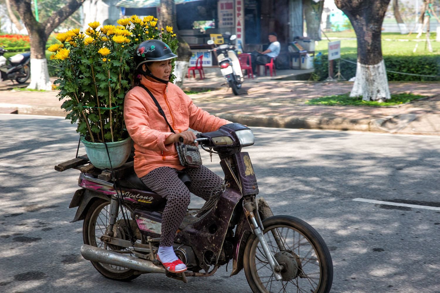 Motorbike with Chrysanthemums