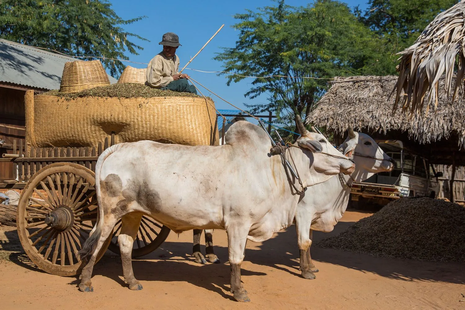 Peanuts in Myanmar