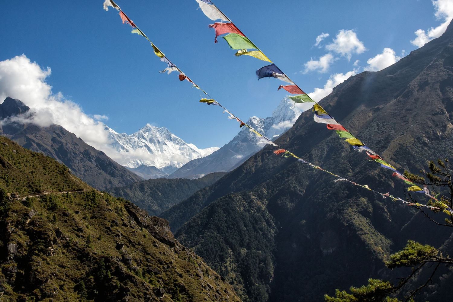 Prayer Flags in the Himalayas