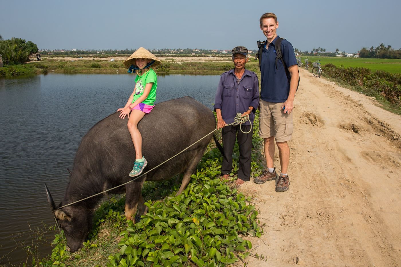 Buffalo and Vietnamese Man