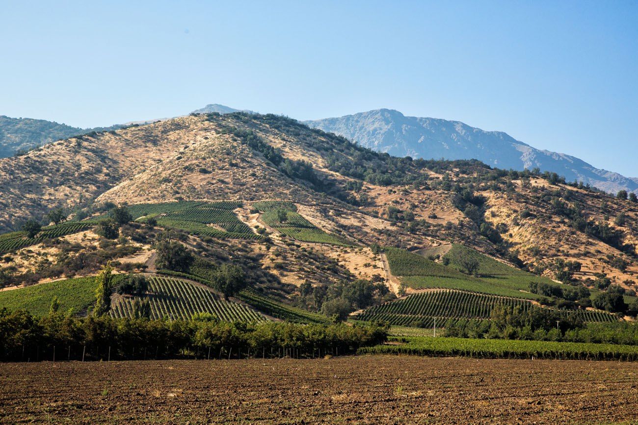 Hills of Maipo Valley