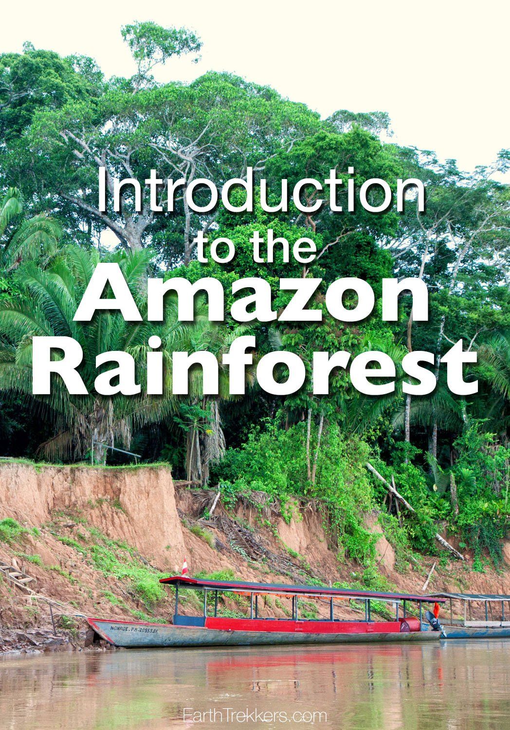 Amazon Rainforest