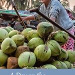 Mekong Delta Vietnam