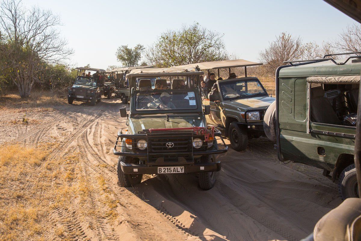 Safari Jeeps