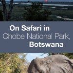 Chobe National Park Safari