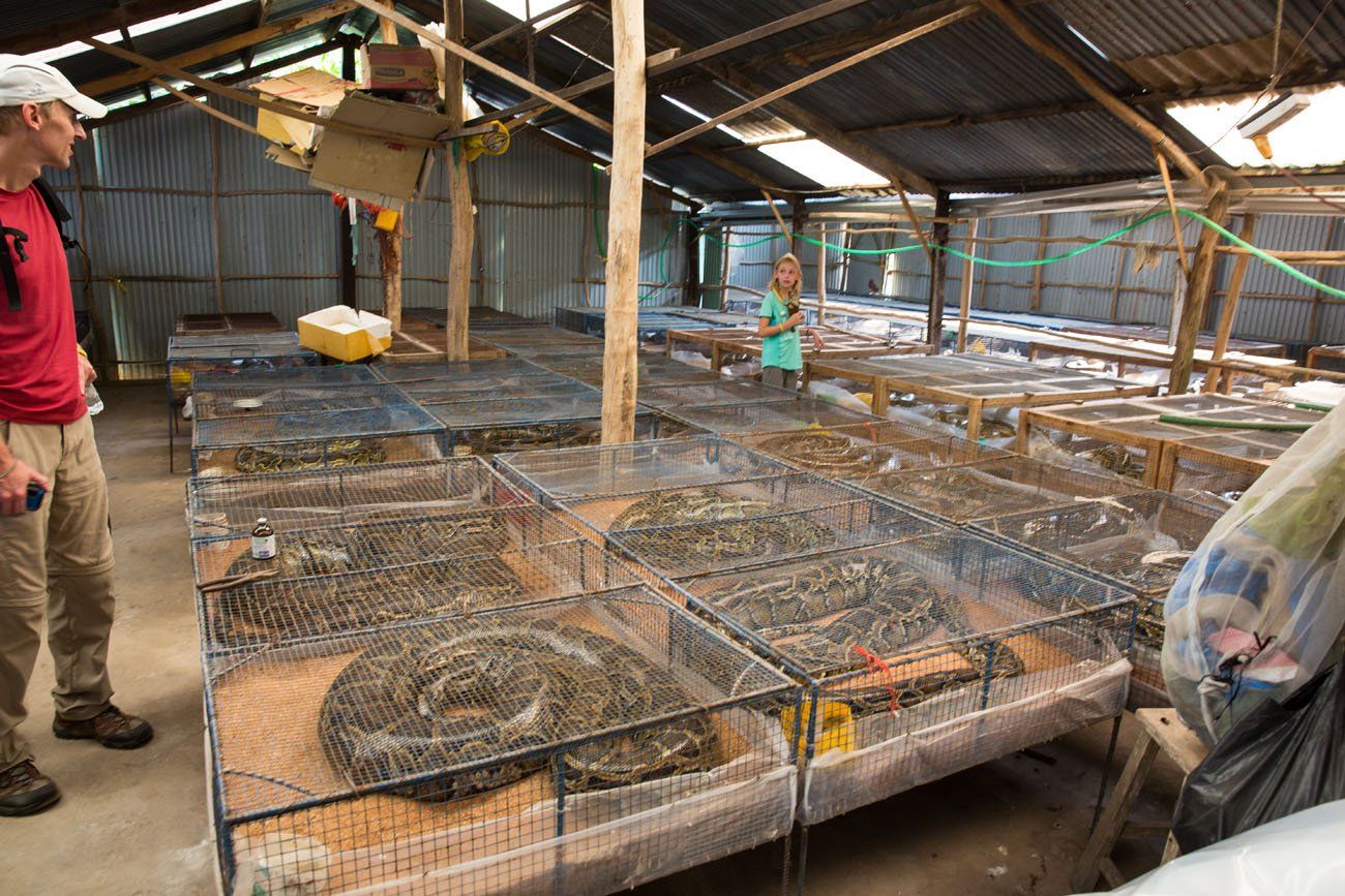 Snake Farm Vietnam