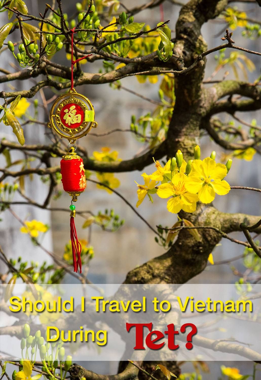 Should I Travel to Vietnam During Tet