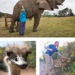 Animal Encounters Garden Route South Africa