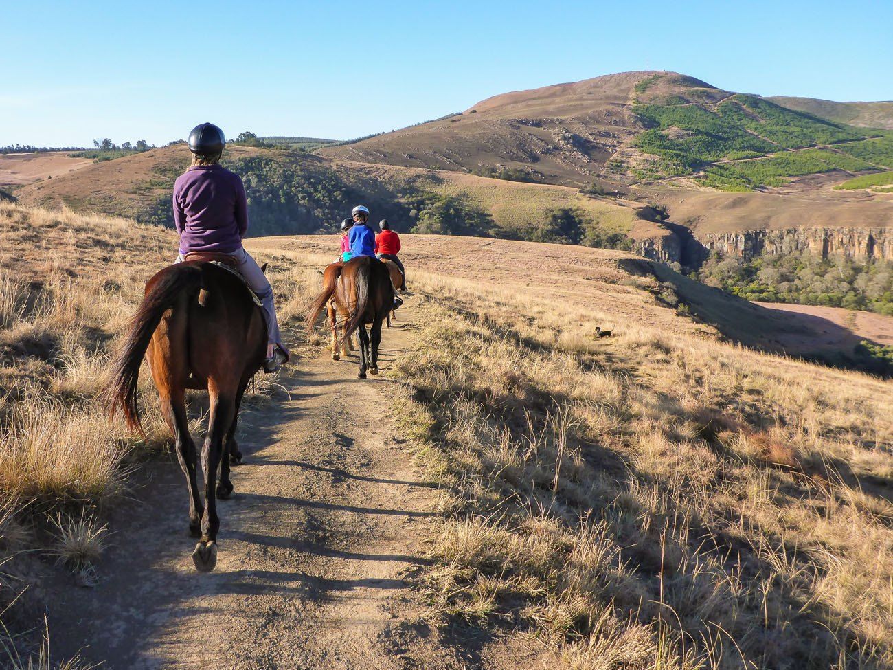 Horse Riding South Africa