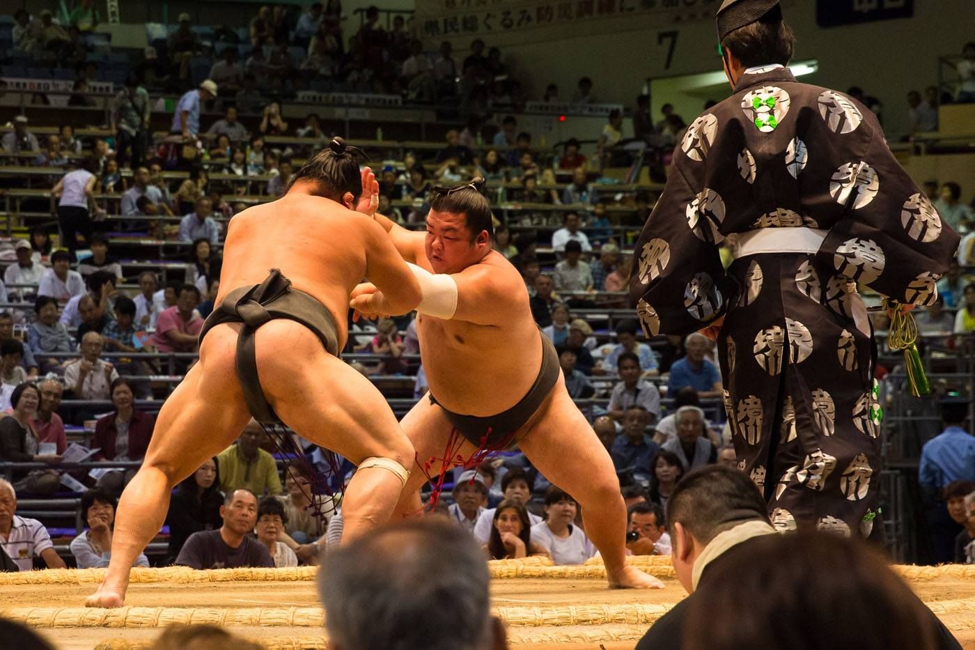How to Watch Sumo Wrestling Japan