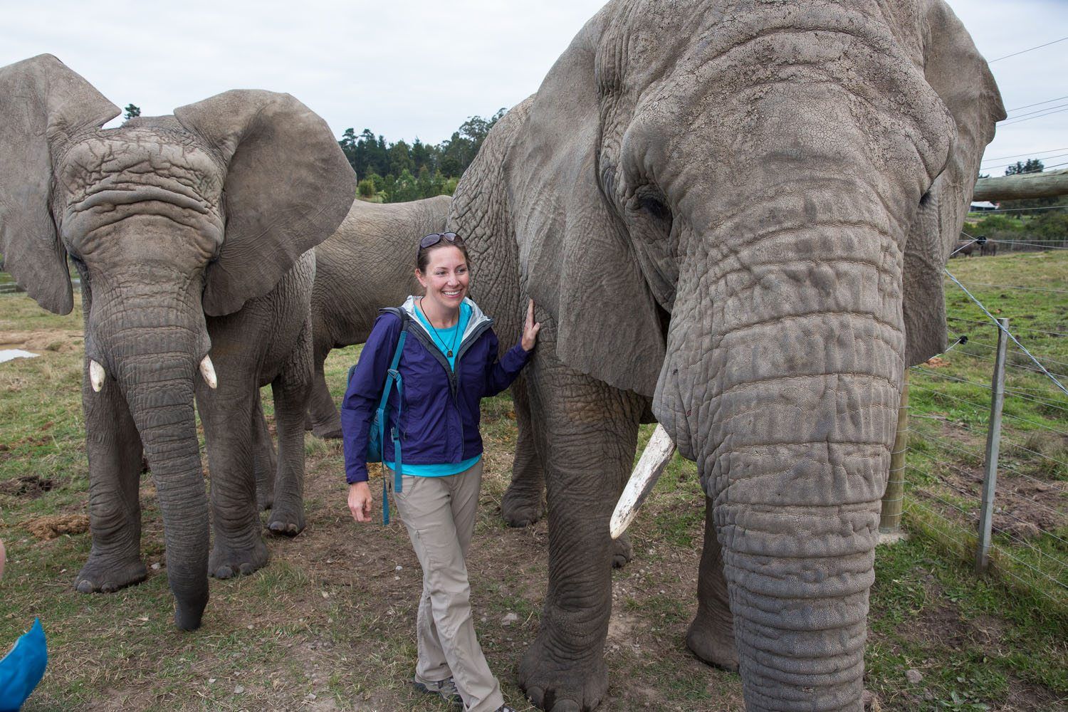 Julie Rivenbark and Elephants