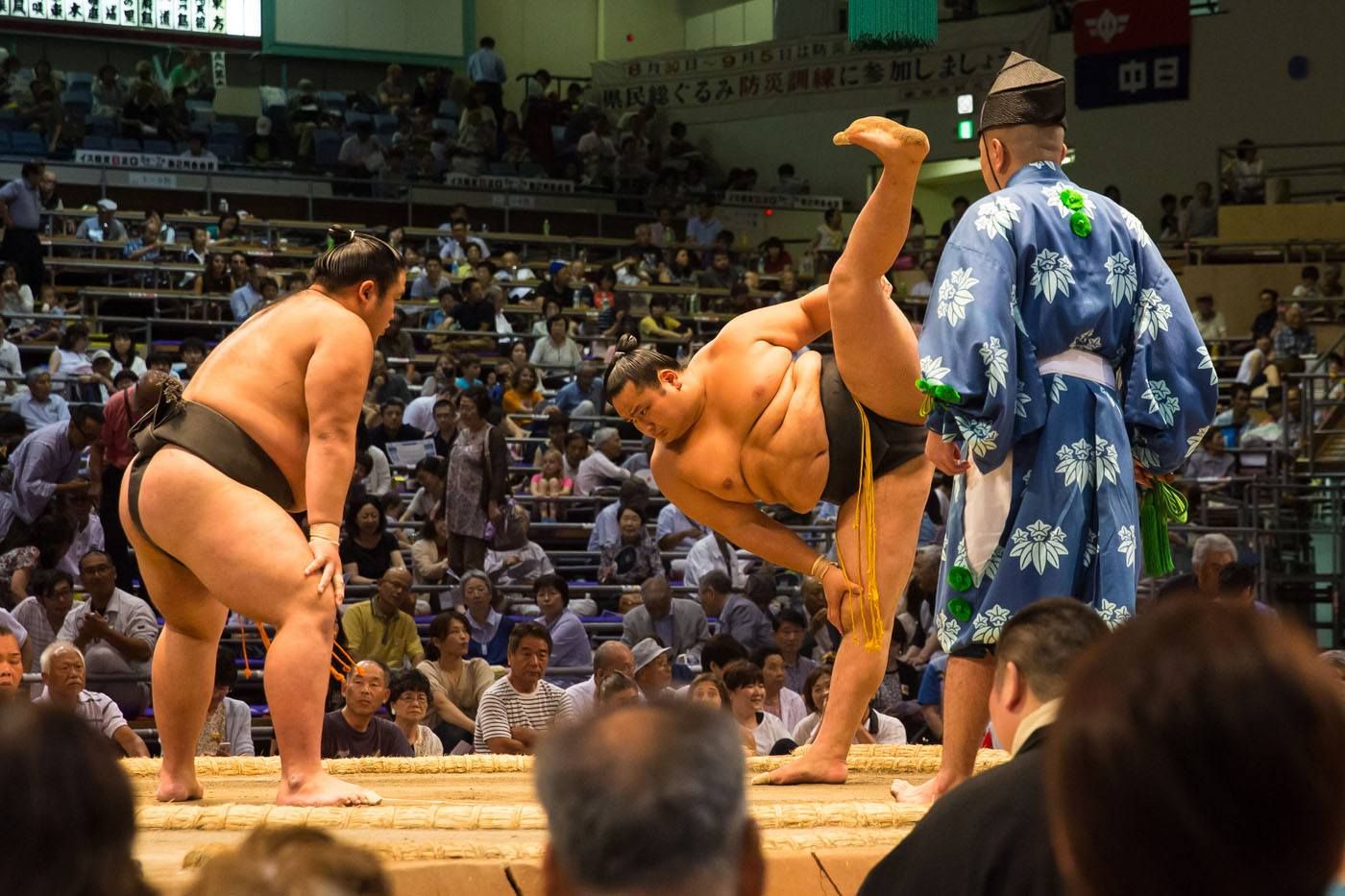 Sumo Wrestlers