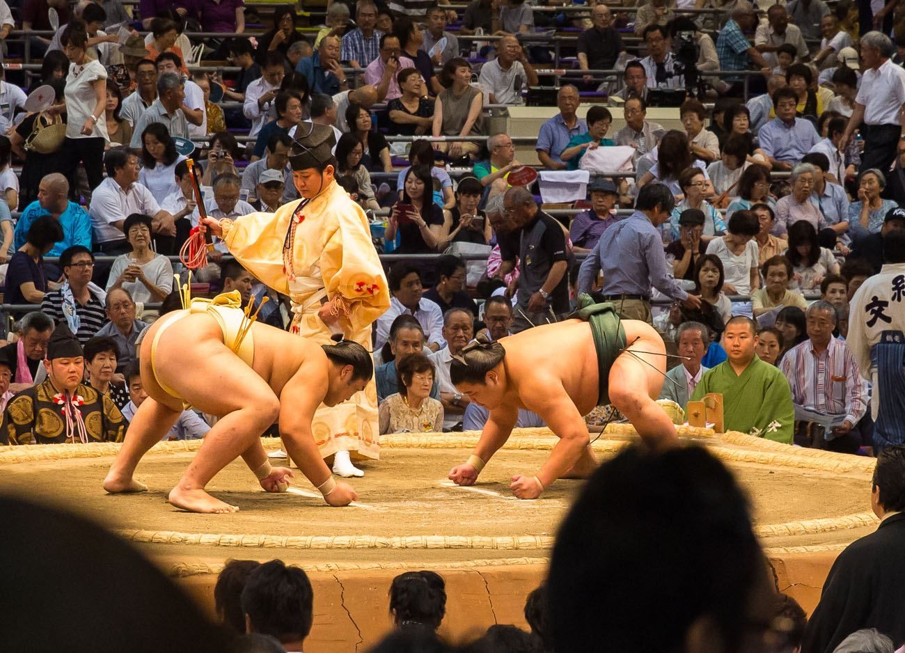 Sumo Wrestling Progression 1