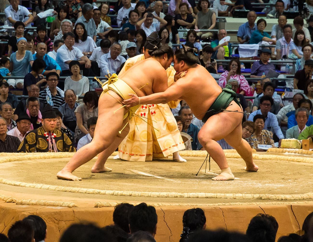 Sumo Wrestling Progression 3