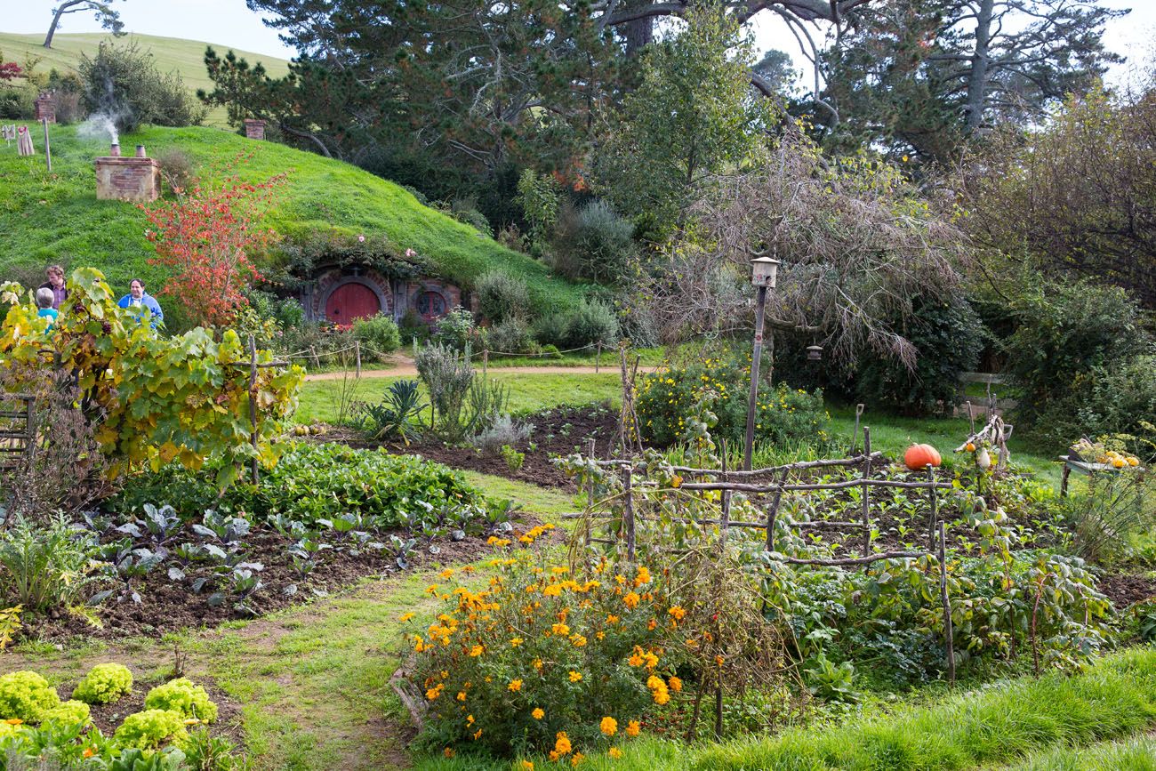 View of Hobbiton