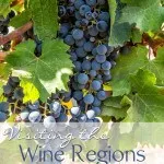 Visiting the Wine Regions Santiago Chile