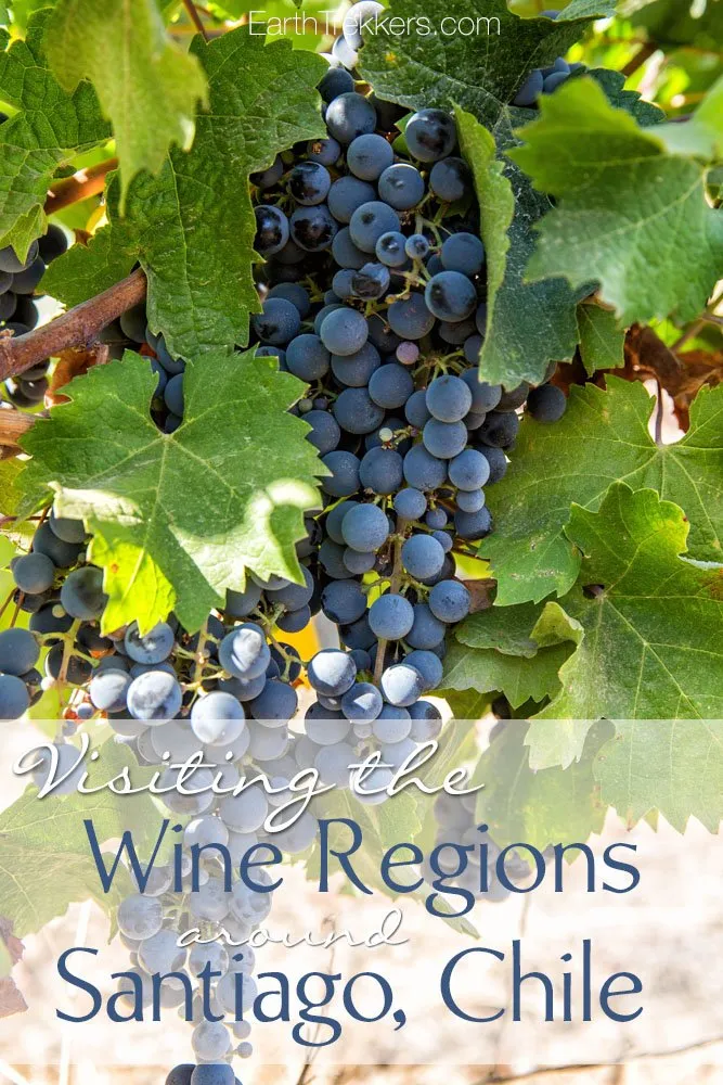 Visiting the Wine Regions Santiago Chile