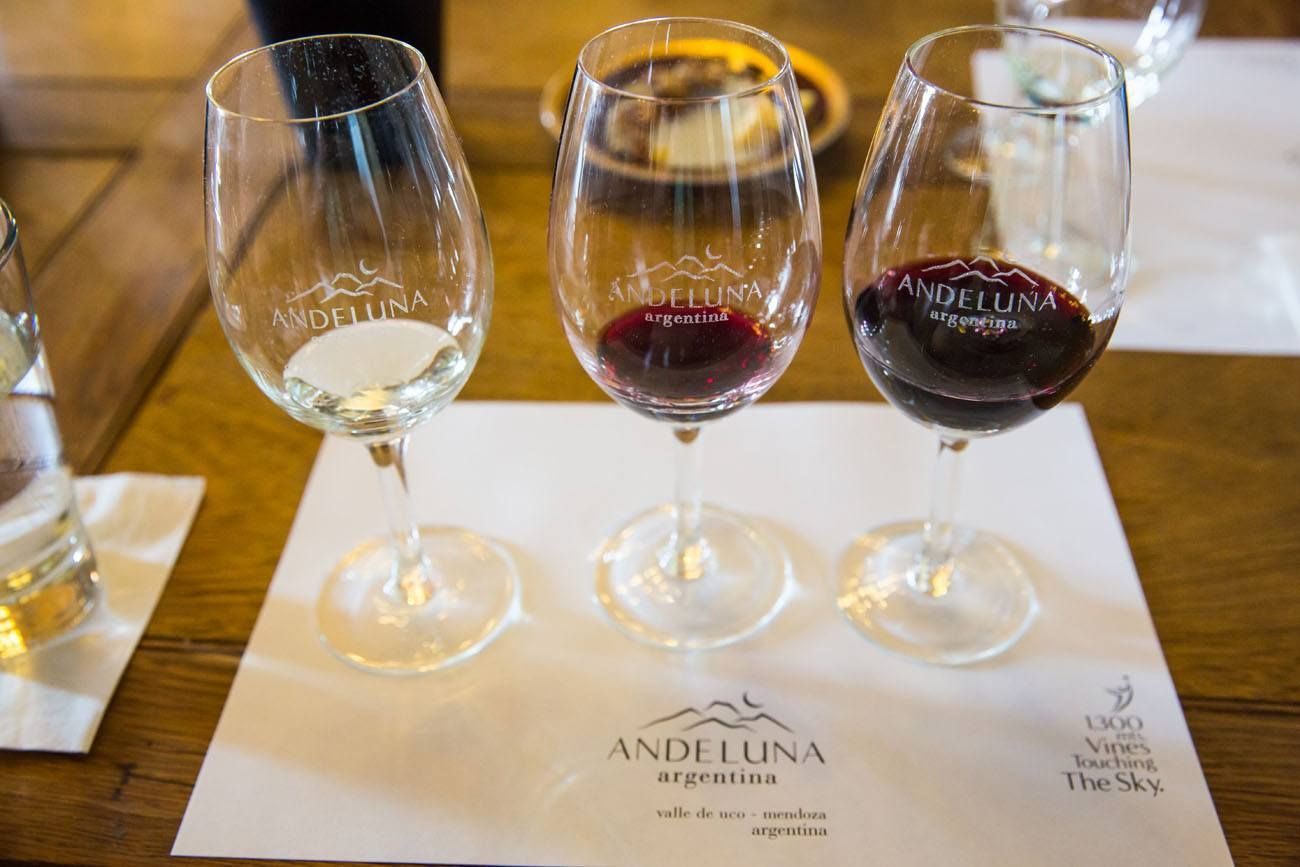 Andeluna Wine Tasting