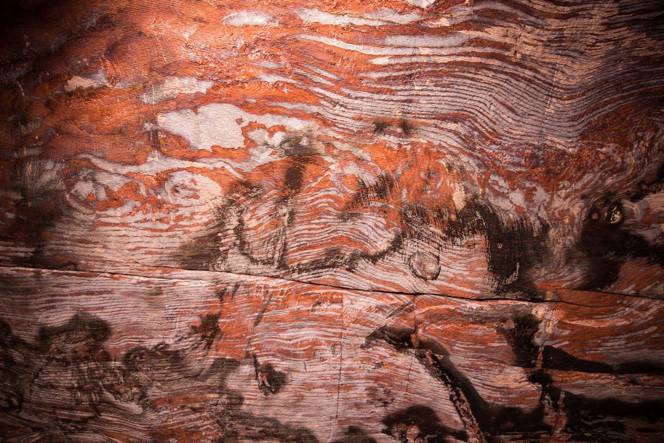 Cave Walls of Petra