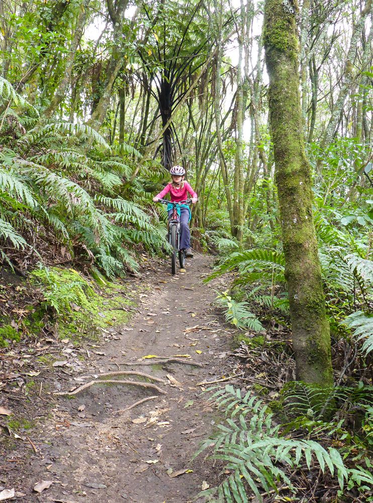 Mountain Biking New Zealand