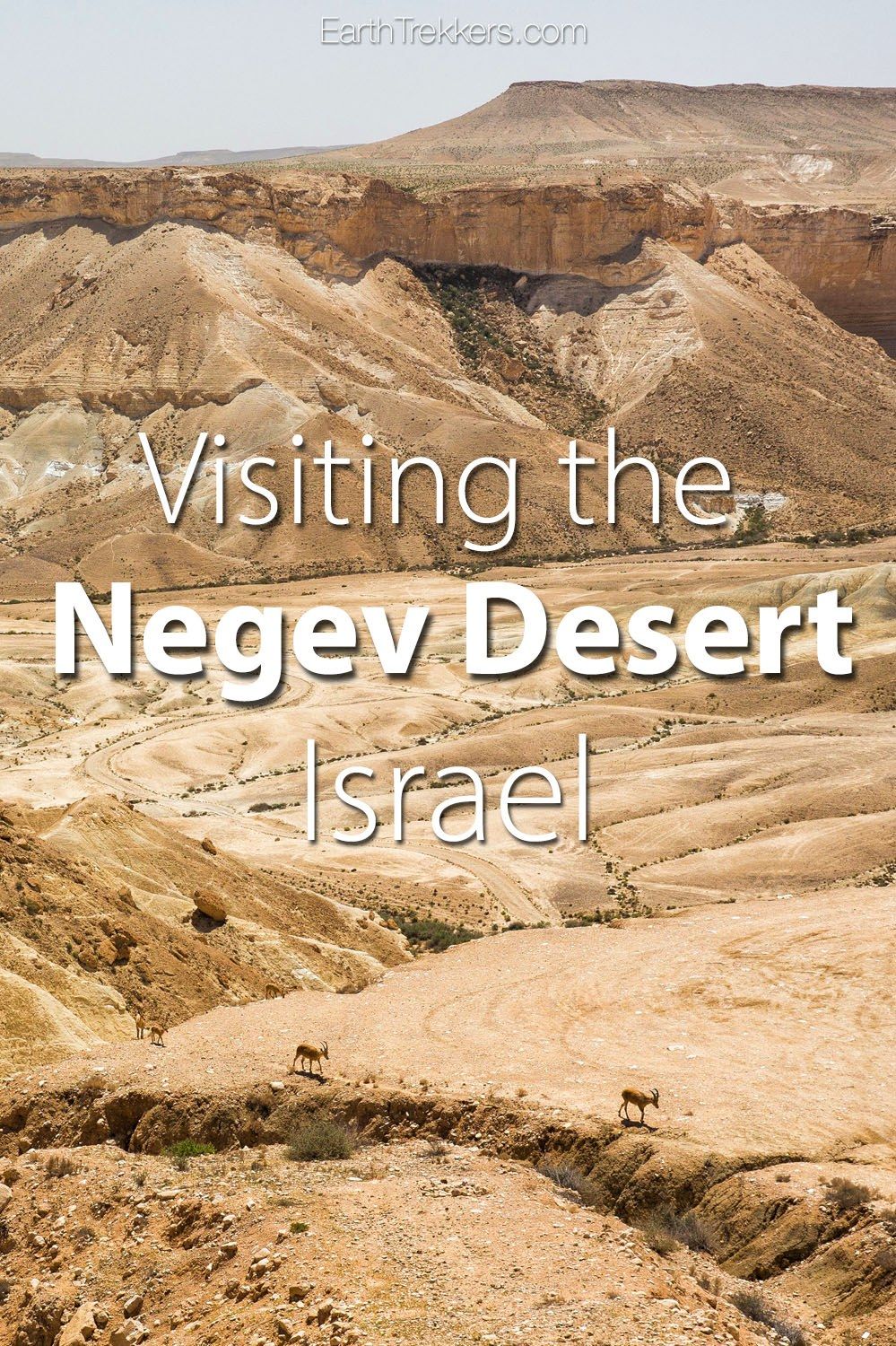 Things to do Negev Desert Israel