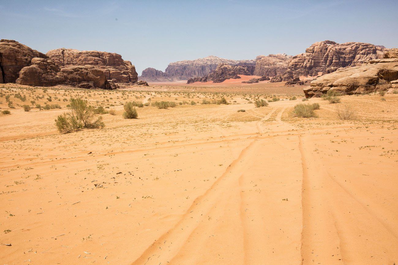 Tracks in the Sand