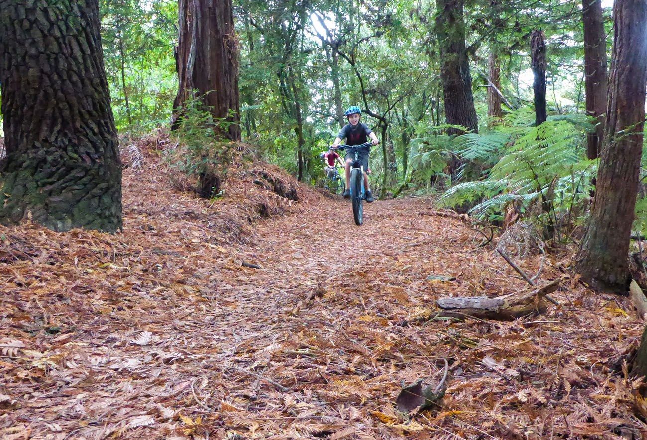 Tyler Mountain biking