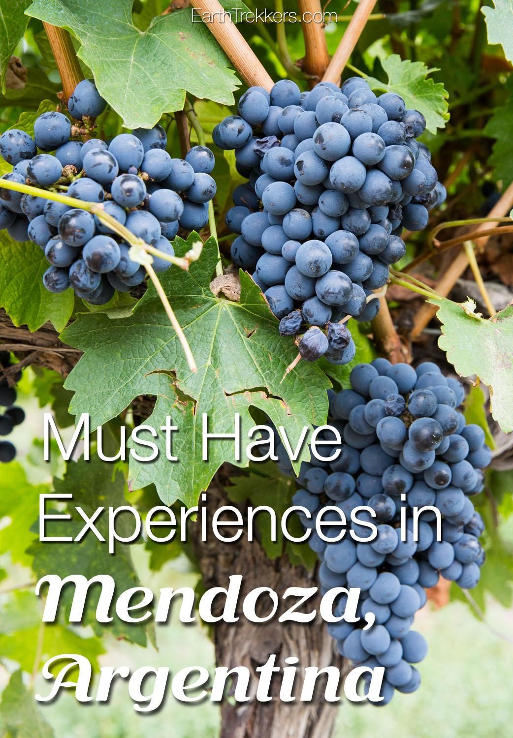 Best Things to do in Mendoza Argentina