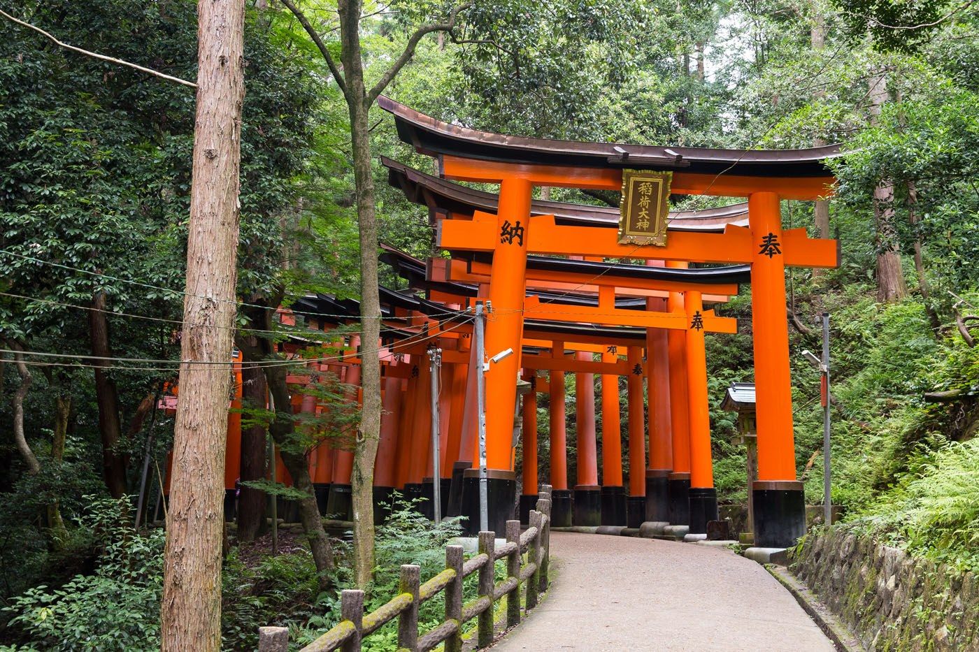 Fushimi Inari Torii Gates