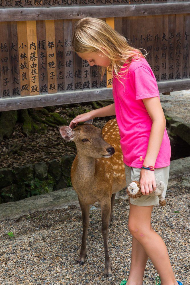 Nara Deer and Kids