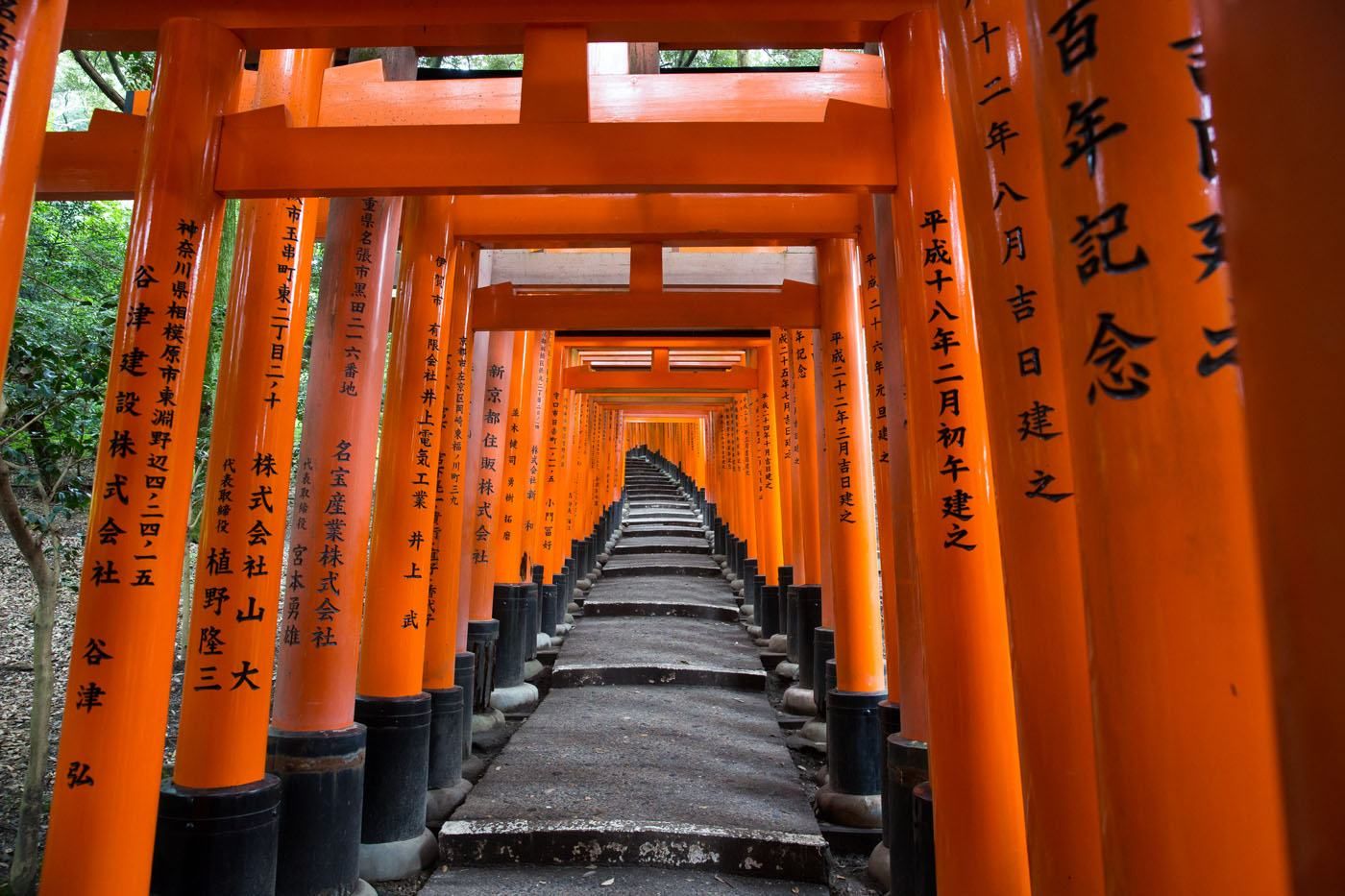 Red Torii Gates