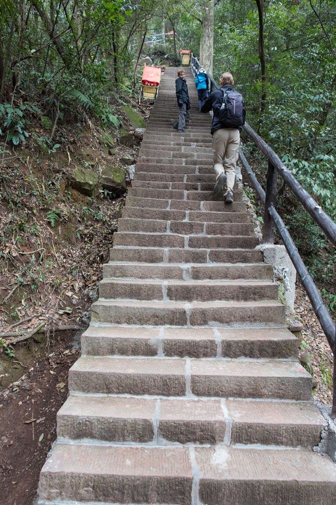 Stair Climbing Zhangjiajie