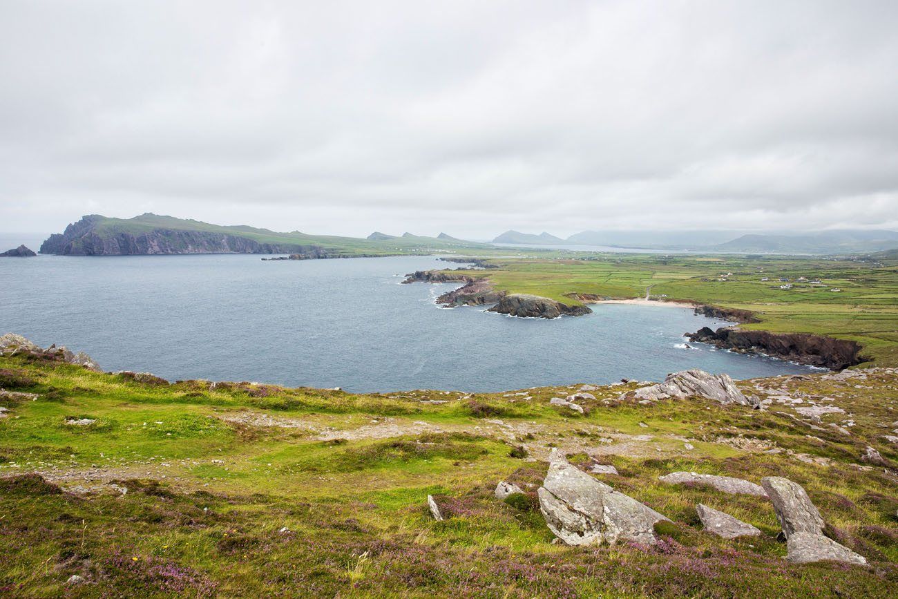 Dingle View