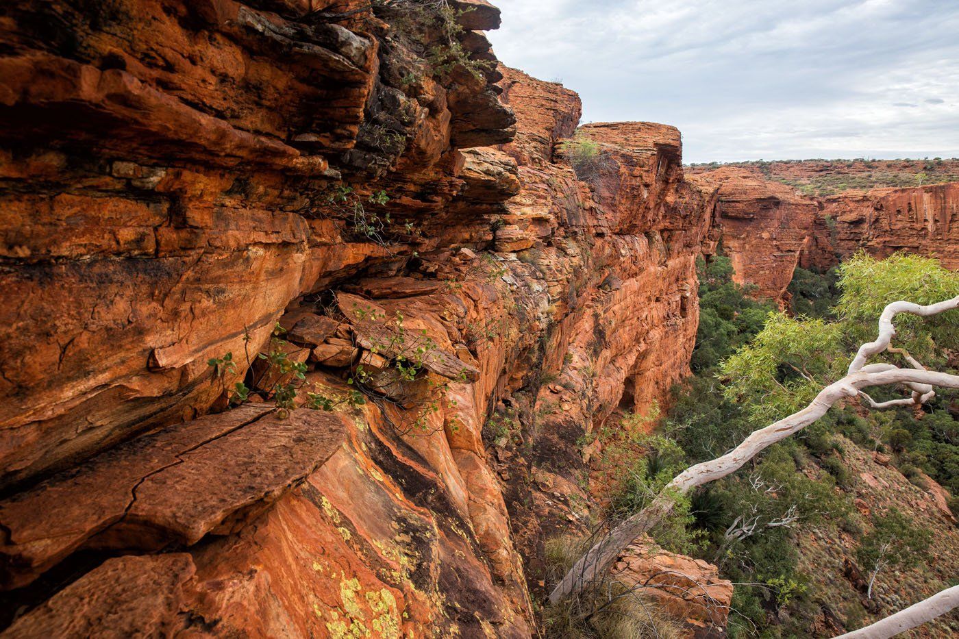 Australia hiking