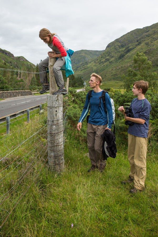 Climb the fence