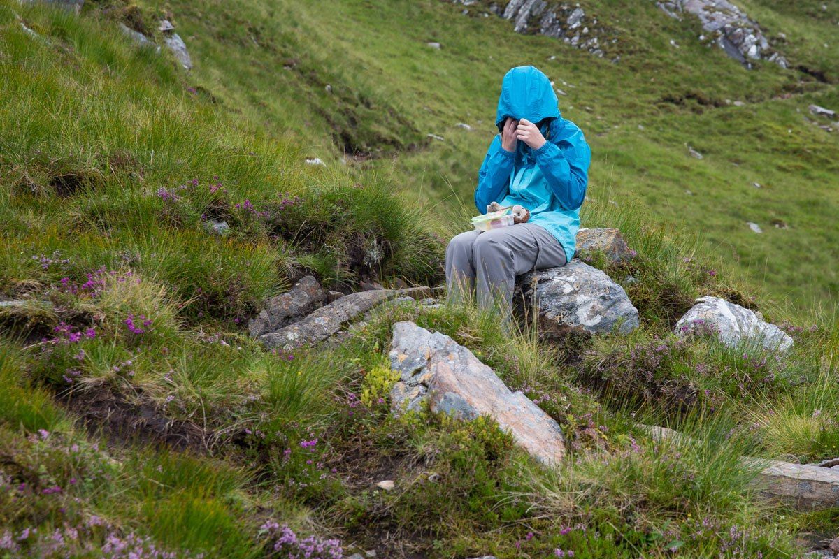 Midges in Scotland