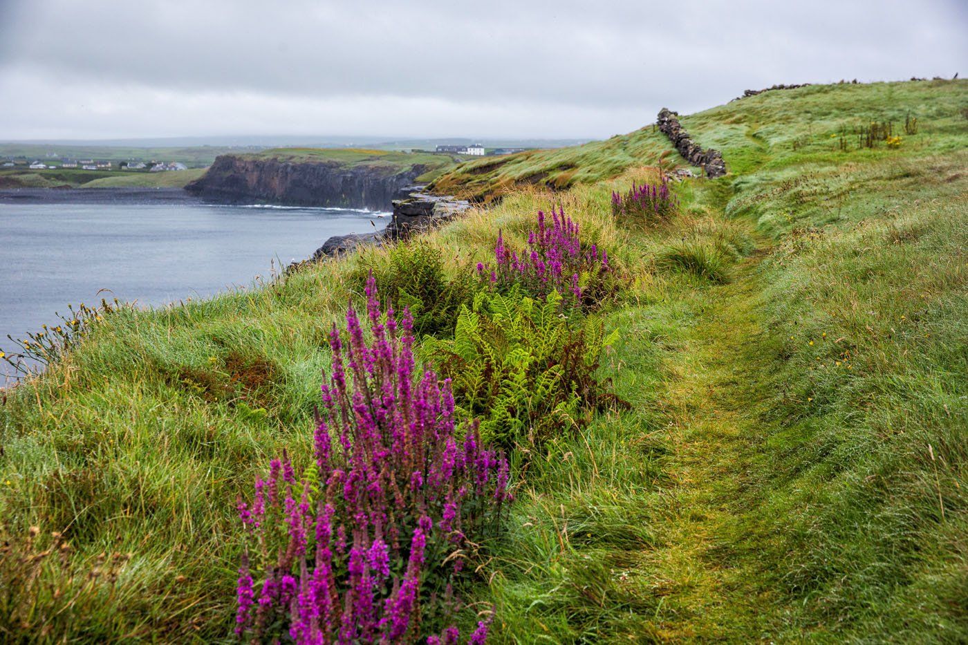 Walking the Cliffs of Moher from Doolin