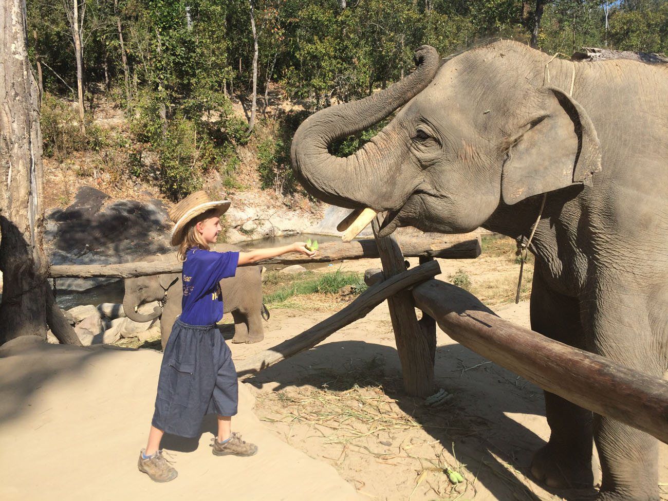 Kara Rivenbark with elephant