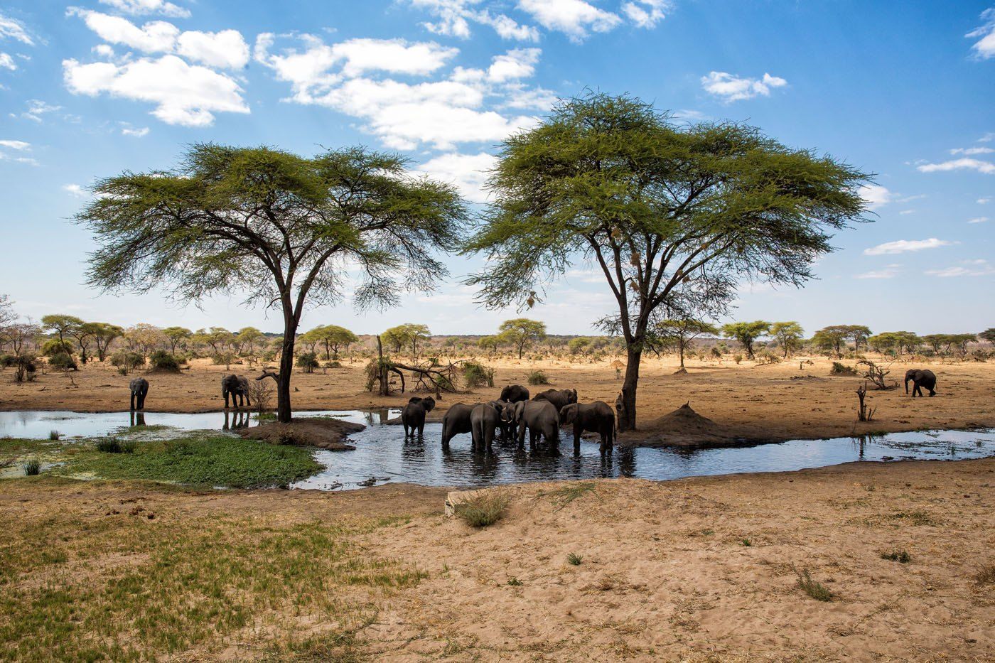 Senyati Camp Botswana