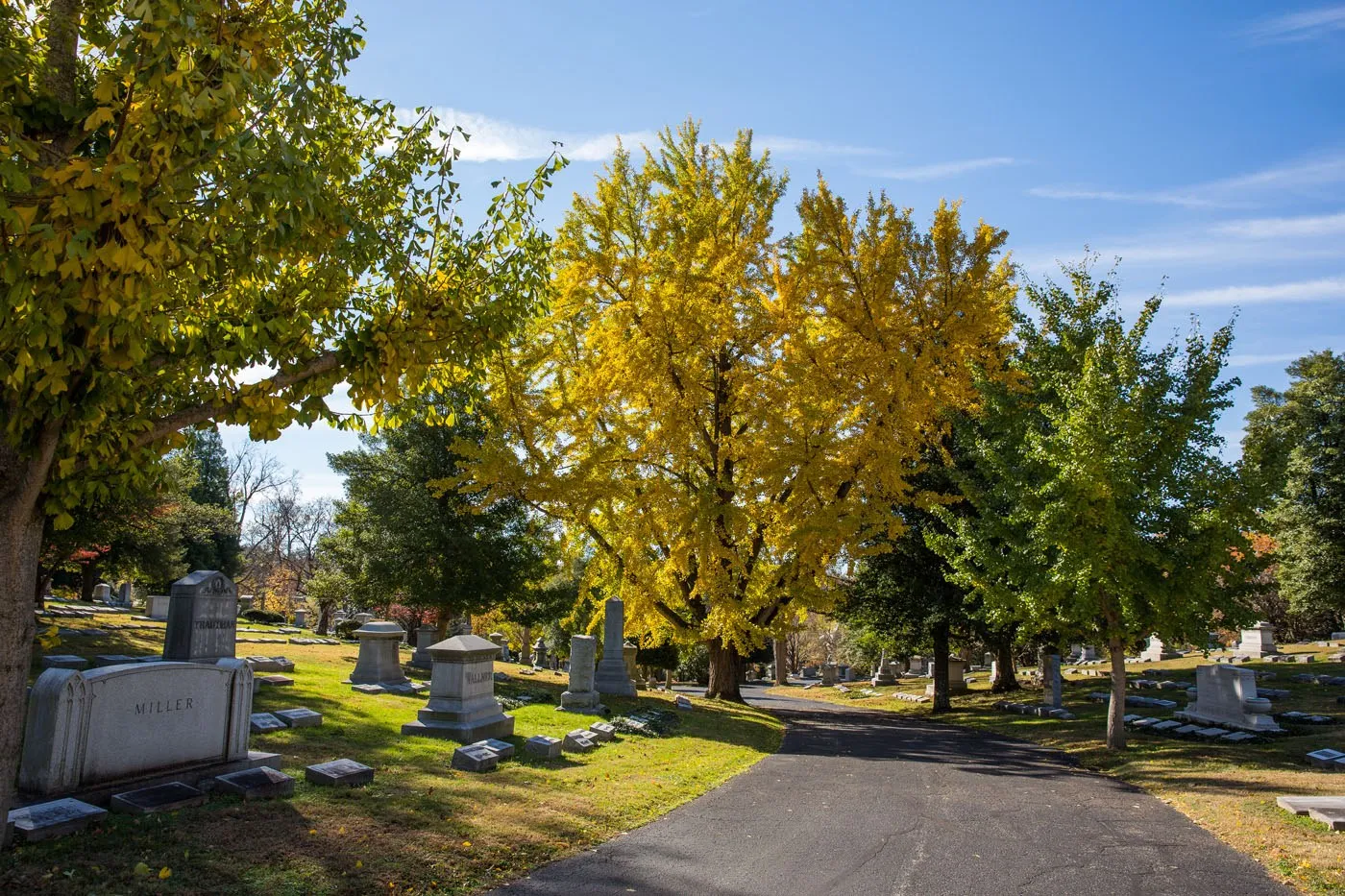 Cave Hill Cemetery