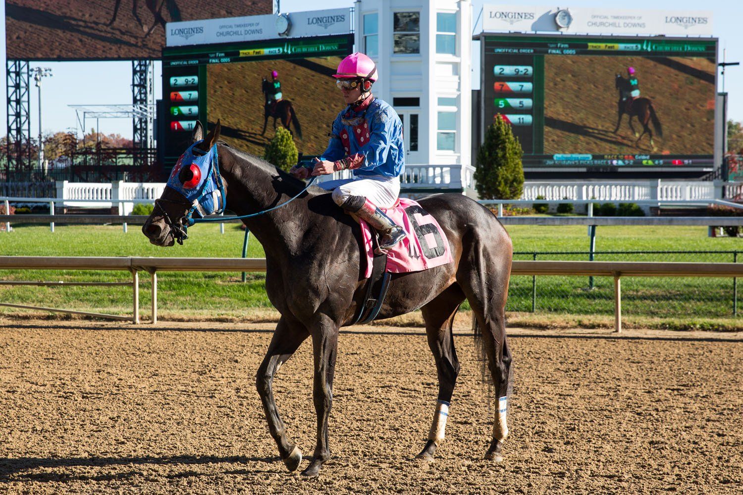 Horse and jockey