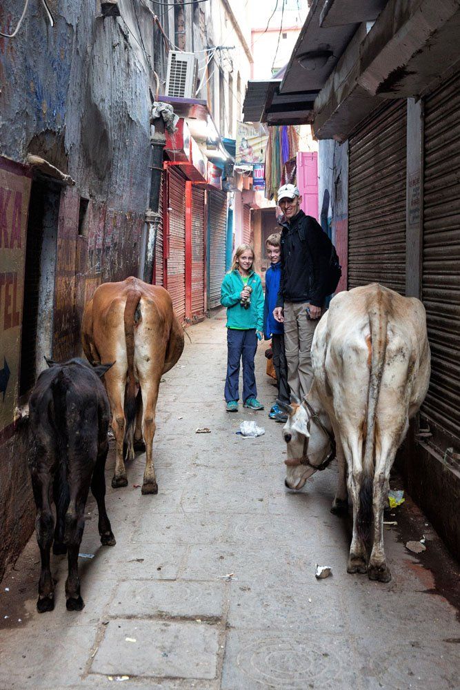 Varanasi street