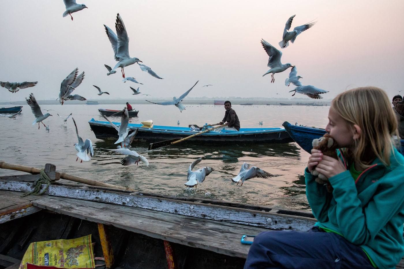 Varanasi birds