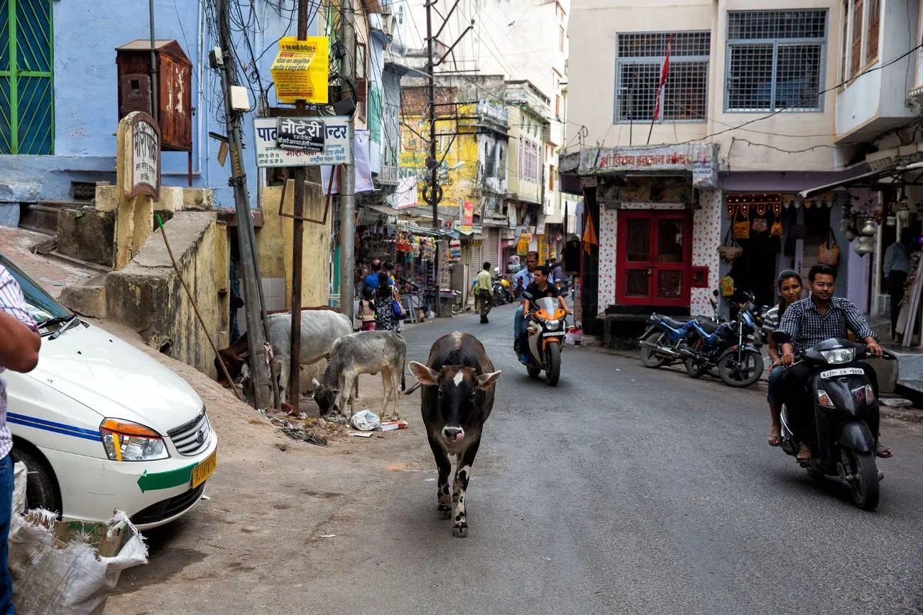 Walking through Udaipur